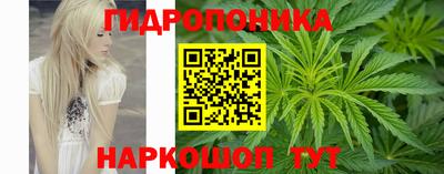 прущий лед Боровичи