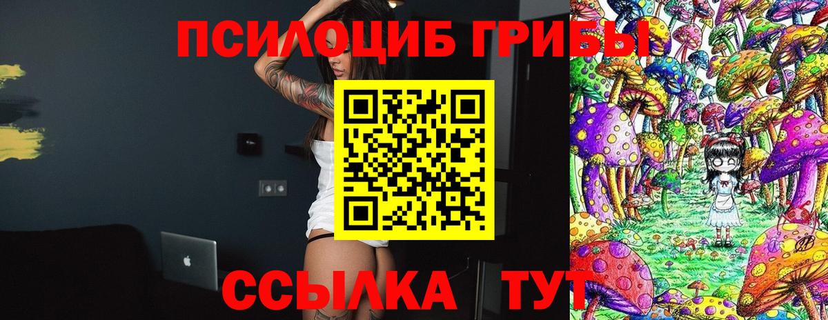 Псилоцибиновые грибы ЛСД Осинники