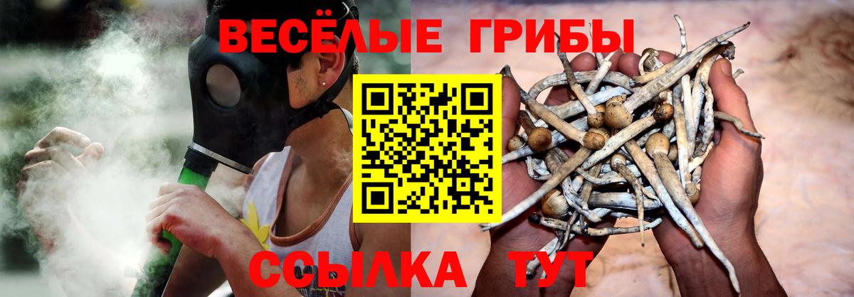 Галлюциногенные грибы GOLDEN TEACHER  Вход с VPN  где купить наркотик  Осинники 